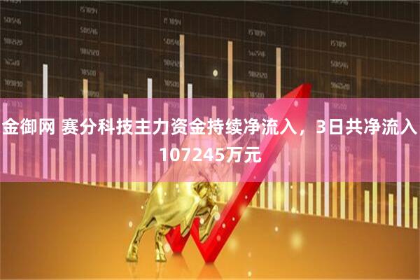 金御网 赛分科技主力资金持续净流入，3日共净流入107245万元