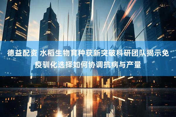 德益配资 水稻生物育种获新突破科研团队揭示免疫驯化选择如何协调抗病与产量