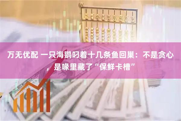 万无优配 一只海鹦叼着十几条鱼回巢：不是贪心，是喙里藏了“保鲜卡槽”