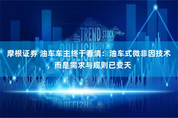 摩根证券 油车车主终于看清：油车式微非因技术，而是需求与规则已变天